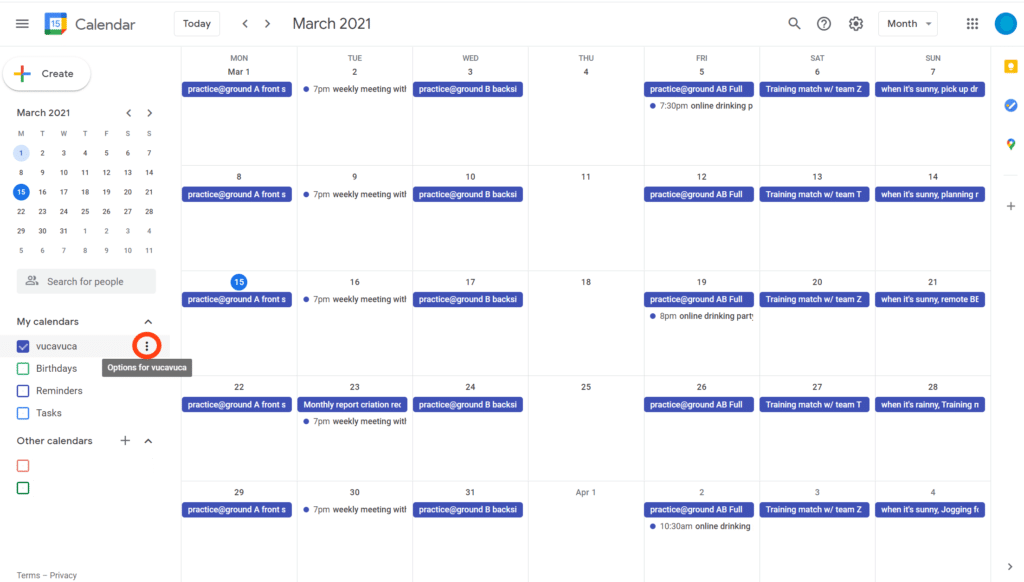 Google_calendar_my_schedule_w_circle