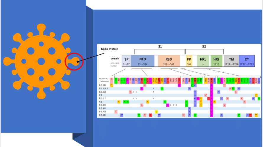 主な変異株のスパイクタンパク質における変異場所を全部可視化してみる〜新型コロナウイルス（SARS-CoV-2）〜、の巻
