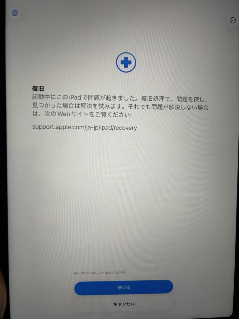 Recovery_This_iPad_encountered_a_problem_during_startup